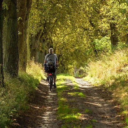 Apartmán Sebastian - Elegantes Domizil Mit Stegzugang, Terrasse & Altstadtnaehe *