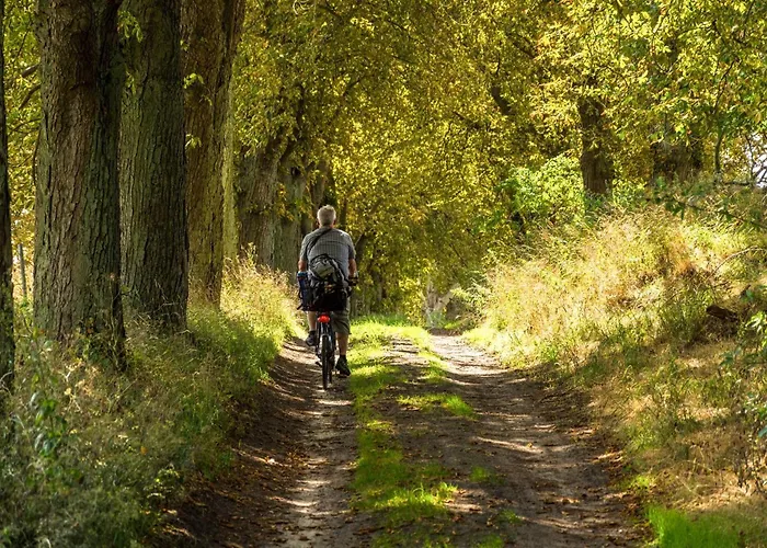 Apartamento Sebastian - Elegantes Domizil Mit Stegzugang, Terrasse & Altstadtnaehe *